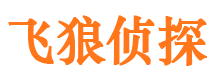 静海侦探公司